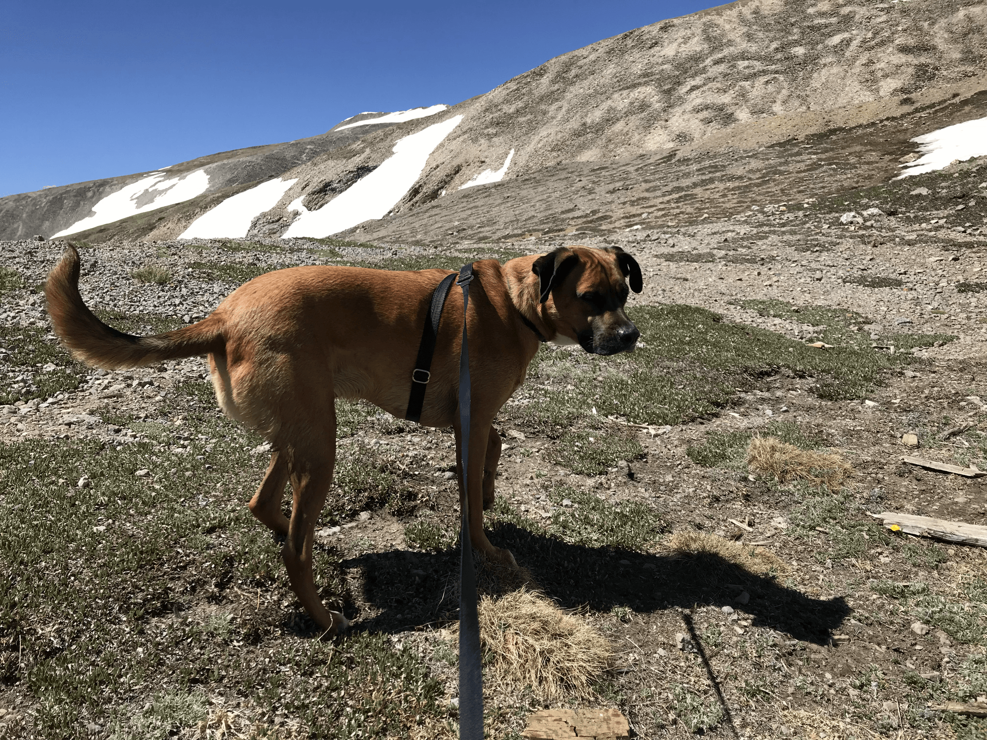 Fairplay, Colorado — Emma Kittle