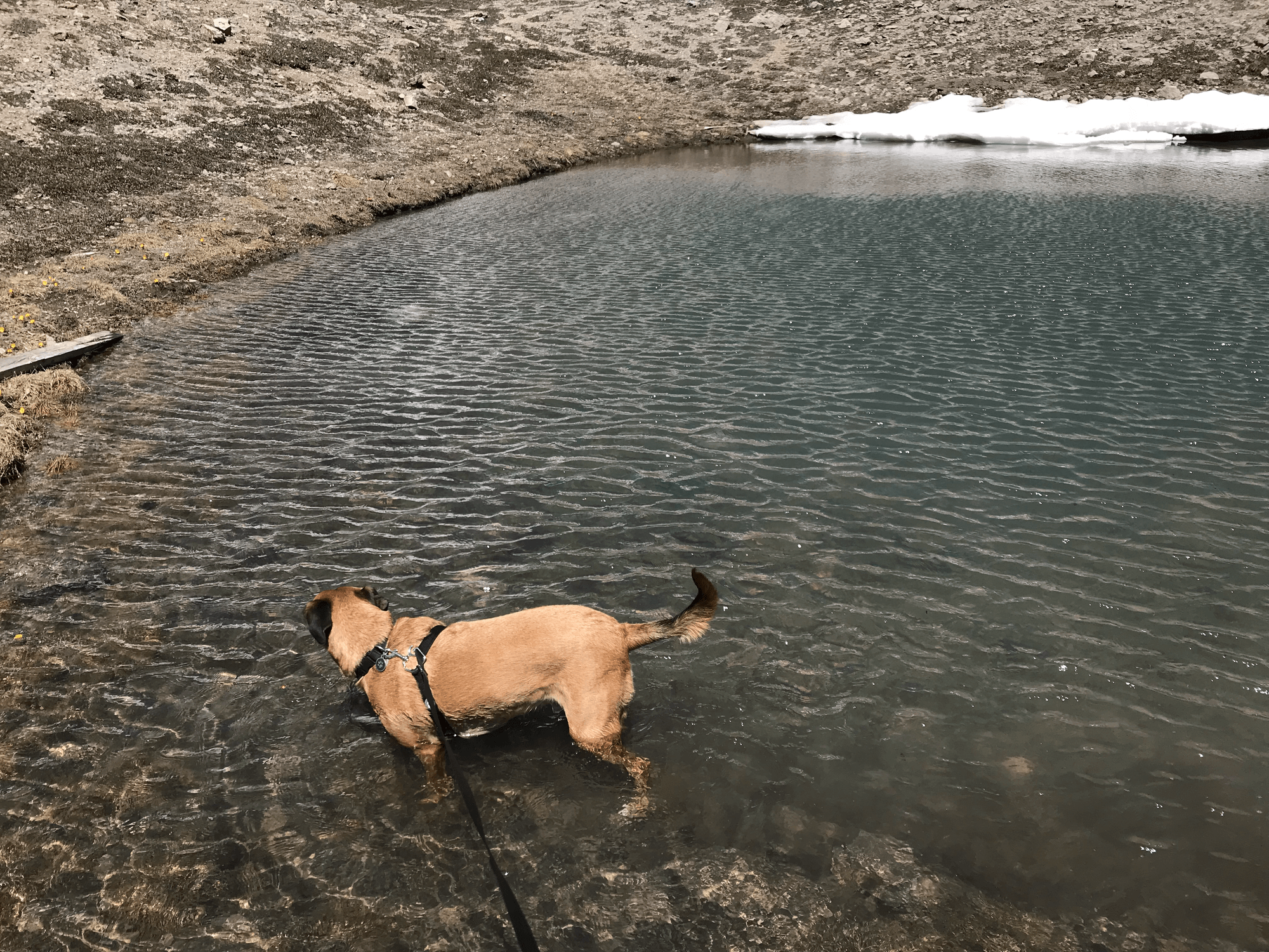 Fairplay, Colorado — Emma Kittle