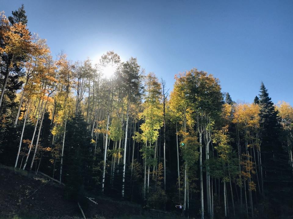 National Mental Health Awareness Day — Emma Kittle