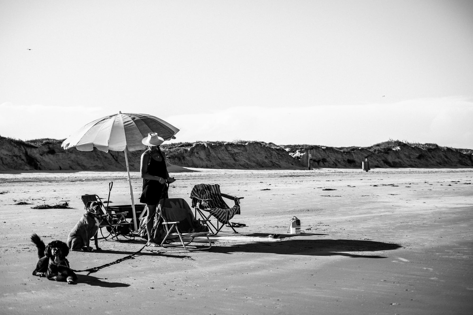 Padre. Part Dave. — Emma Kittle