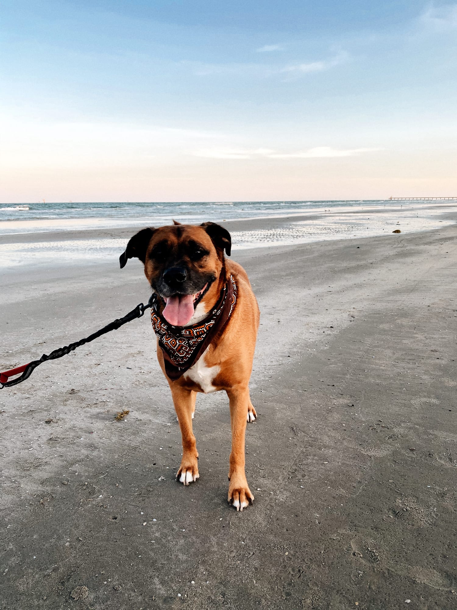 Padre. Part Dave. — Emma Kittle