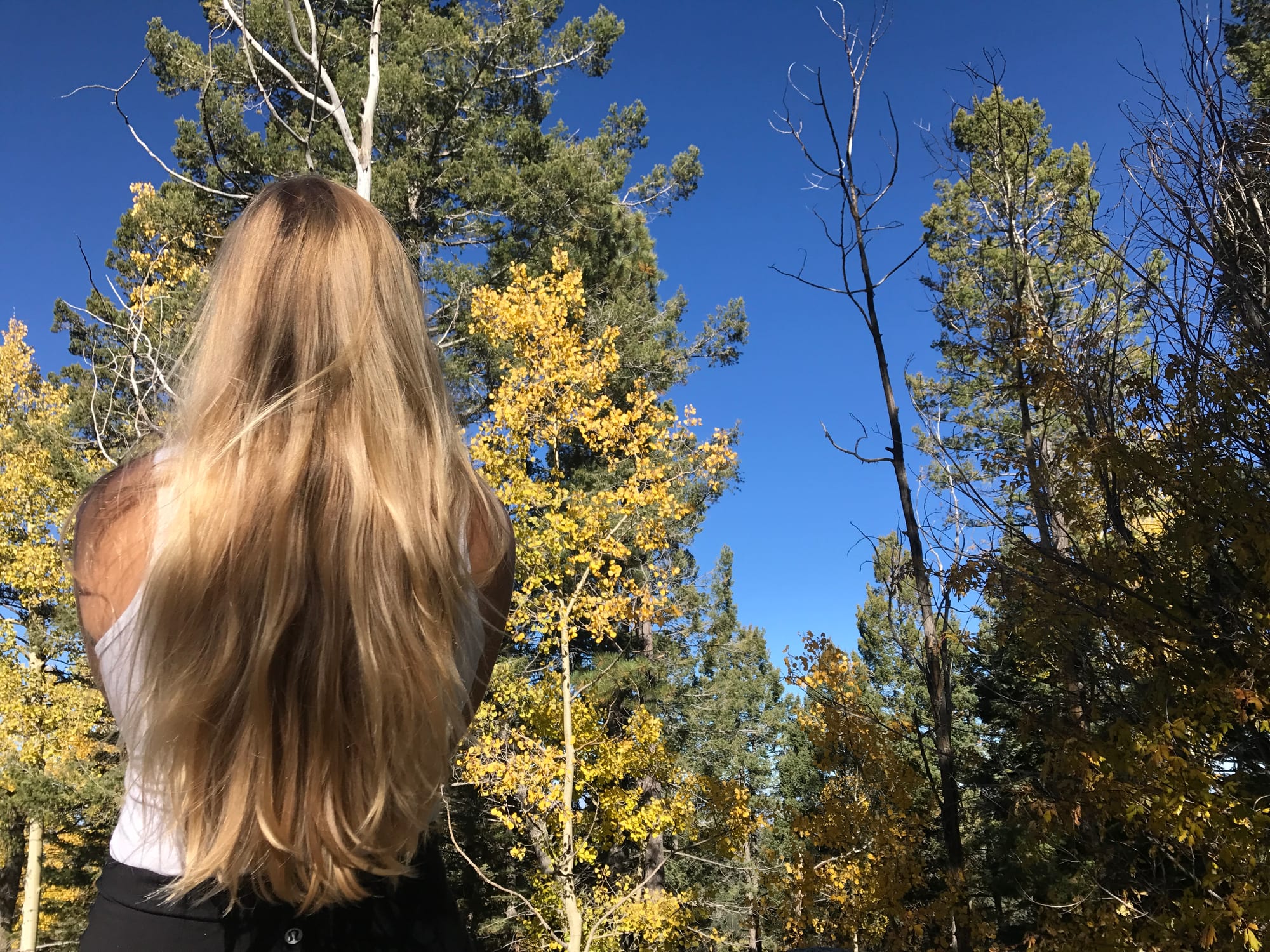 Santa Fe, New Mexico — Emma Kittle