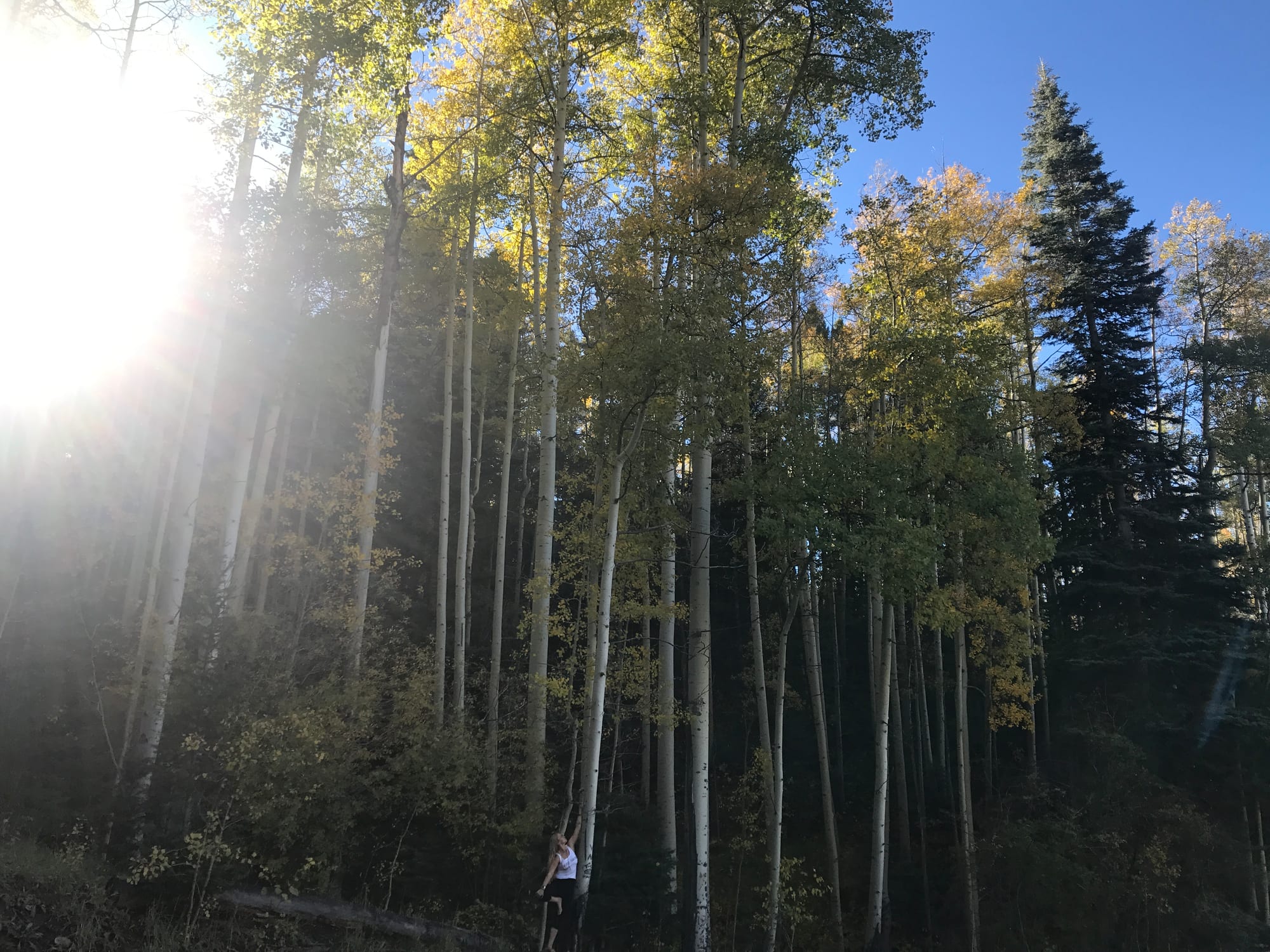 Santa Fe, New Mexico — Emma Kittle