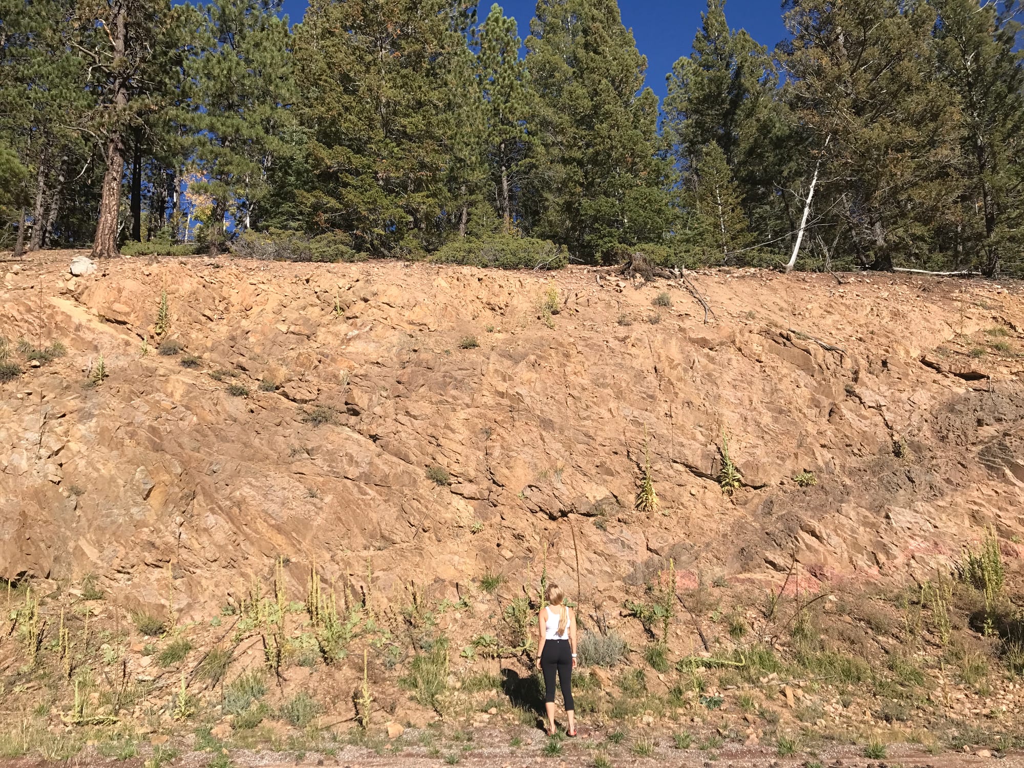 Santa Fe, New Mexico — Emma Kittle