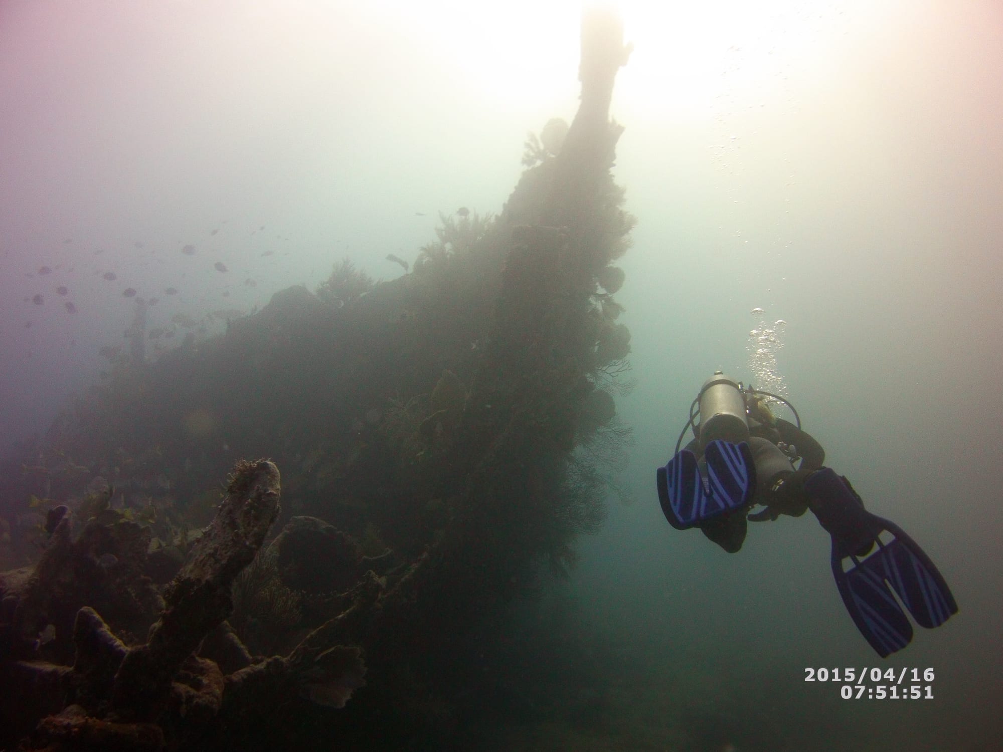 Scuba - Florida Keys — Emma Kittle