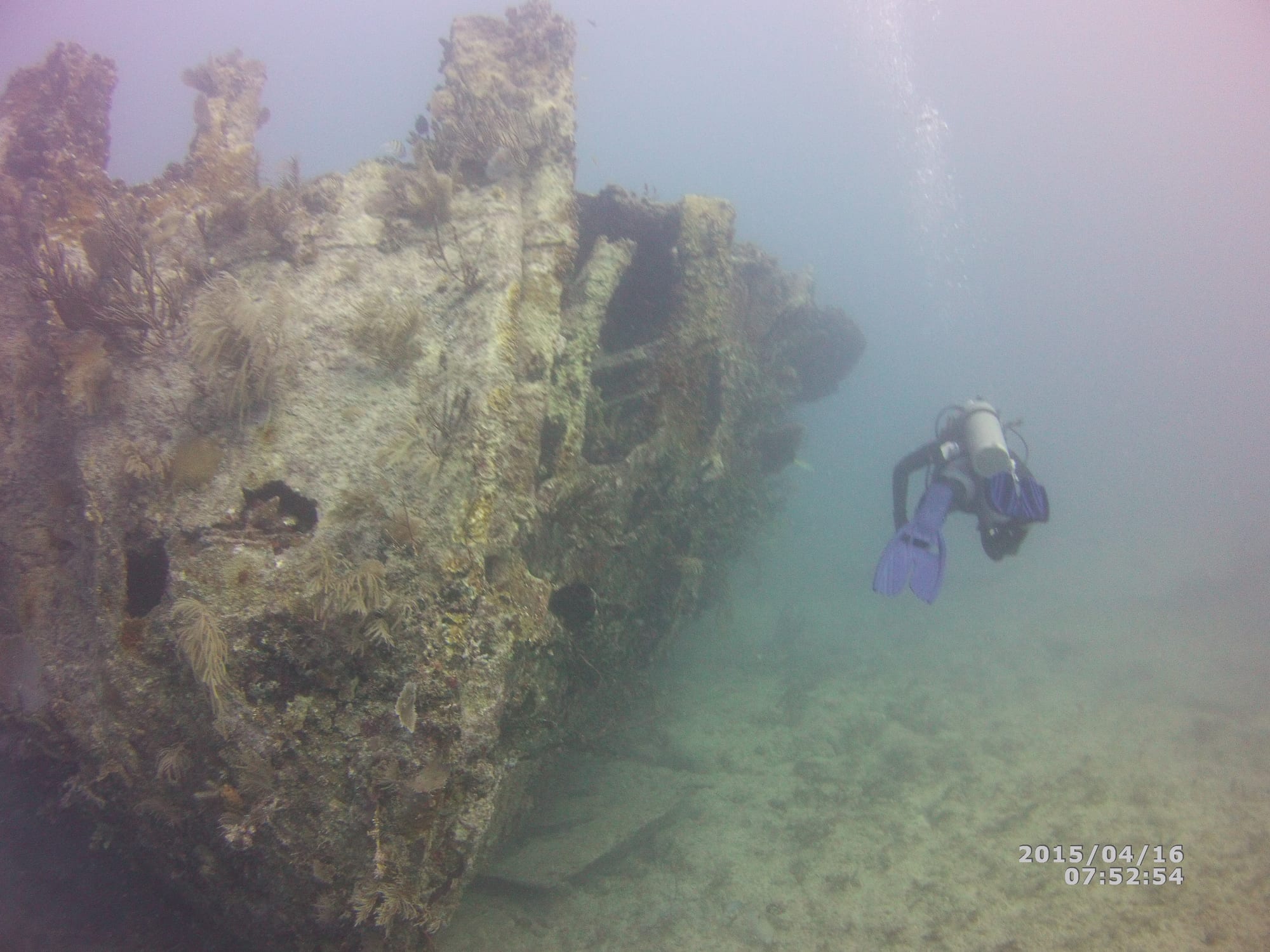 Scuba - Florida Keys — Emma Kittle
